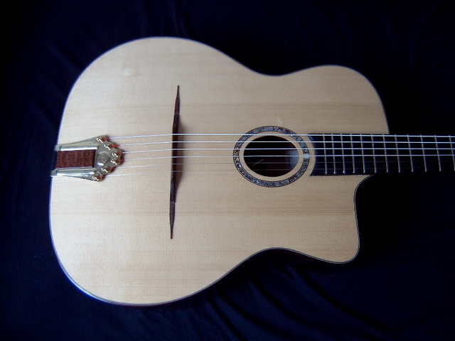 Van Bergejk Gipsy Guitar Oval 